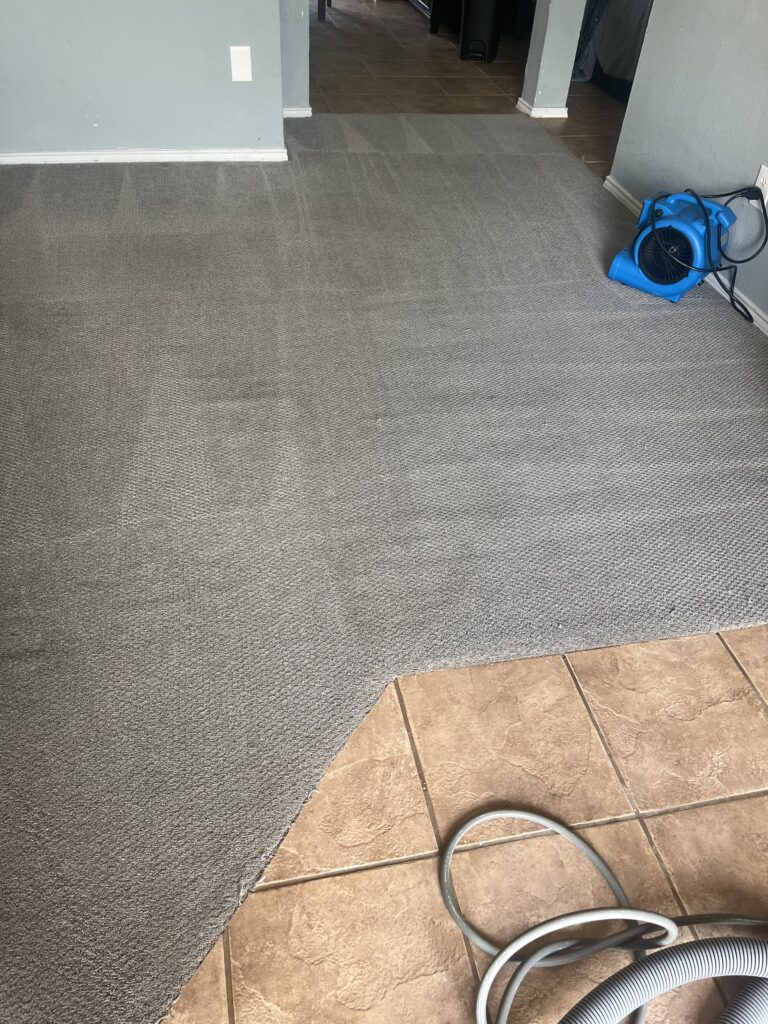 Other carpet cleaning example